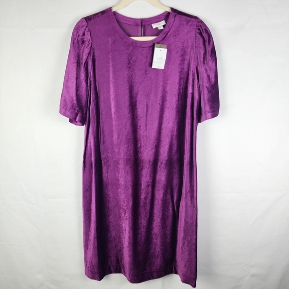 NWT J. Jill Puff Sleeve Velvet Dress In Sugarbeet Size Small - Picture 2 of 7